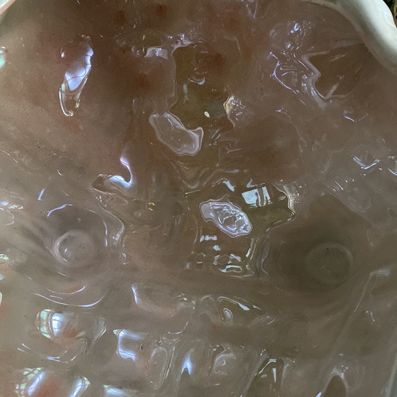 Pottery Barn Enchantment Under the Sea Pearlescent Glazed Conch Shell Bowl 🐚 - Picture 10 of 17